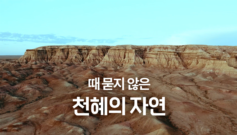 남고비코스 7박8일