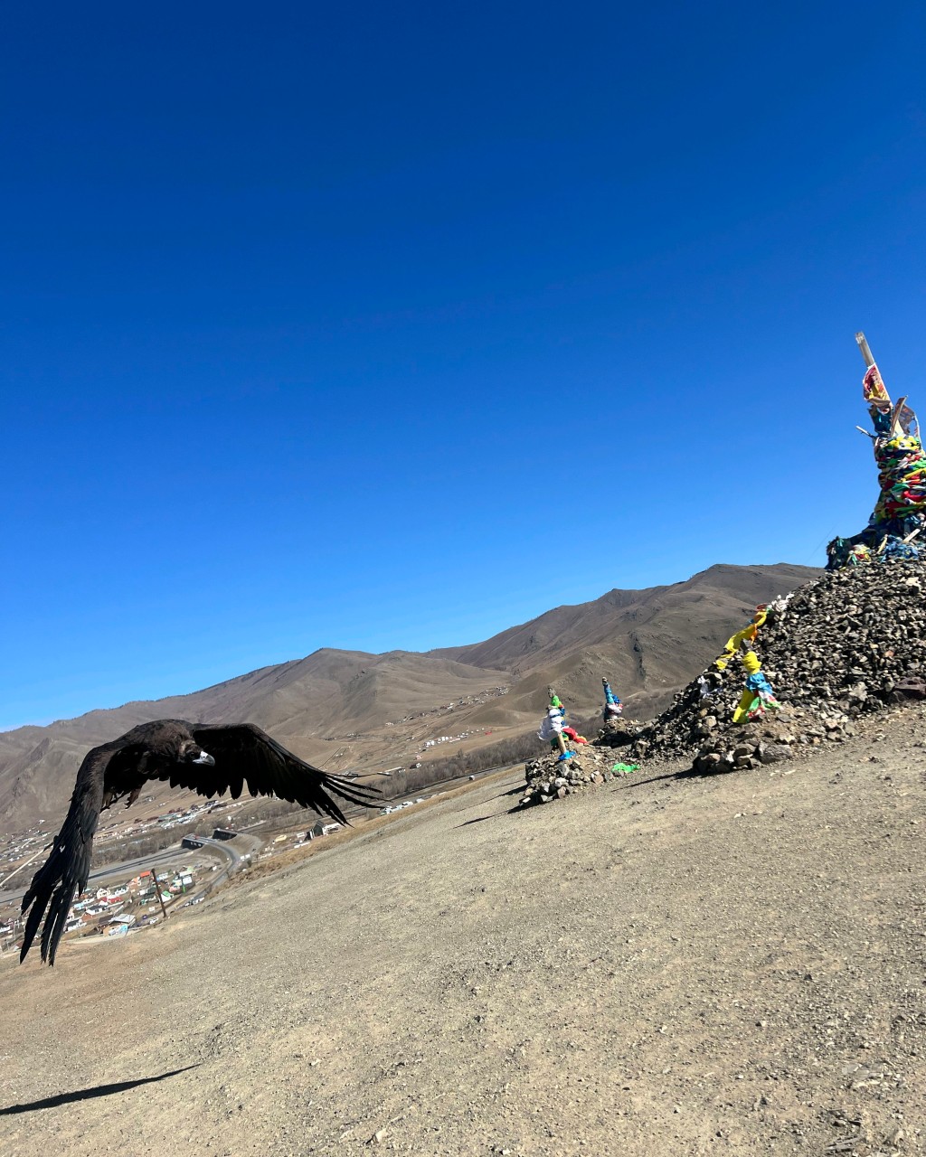 몽골 중부투어 (2025.10.05~)