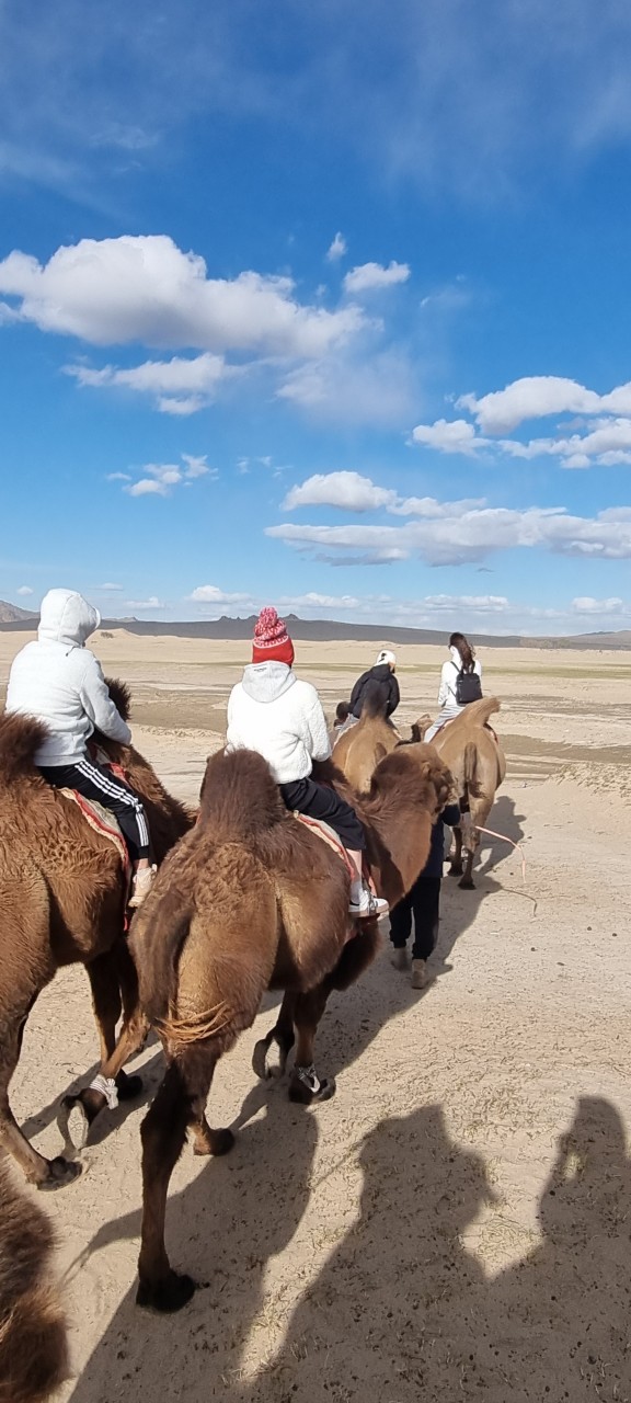 몽골 중부 3대 가족여행 (2025.10.05~)