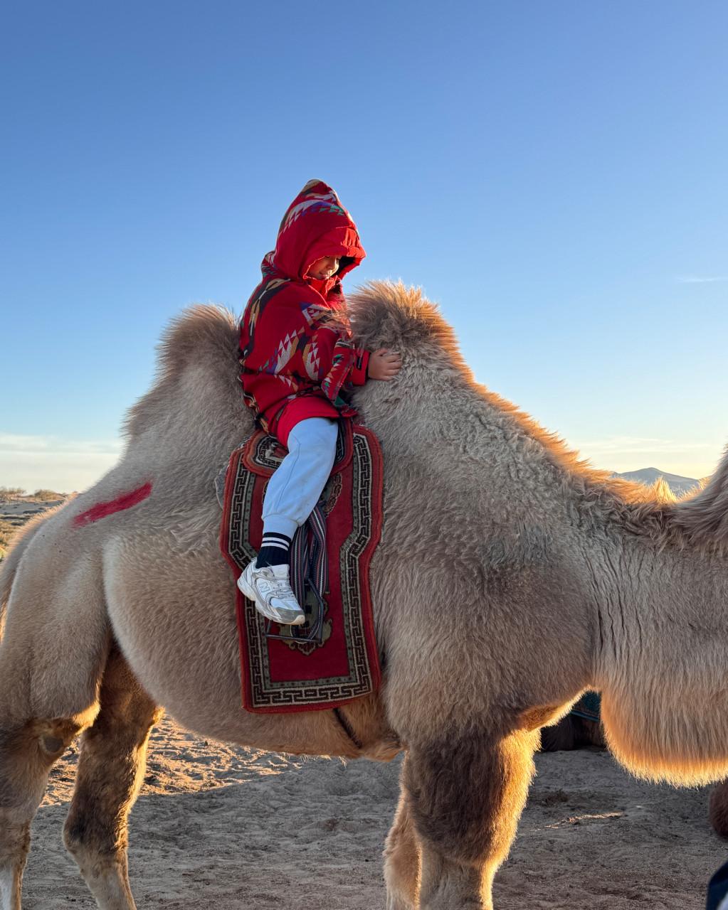 몽골 중부 모자 여행 (2025.10.07~)