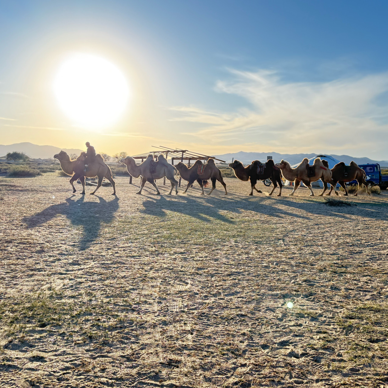 몽골 중부투어 (2025.10.07~)