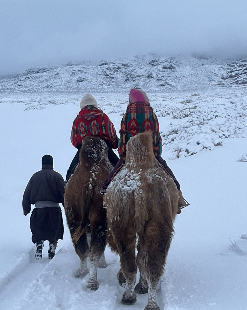 몽골 중부 우정 여행 (2025.11.06~)