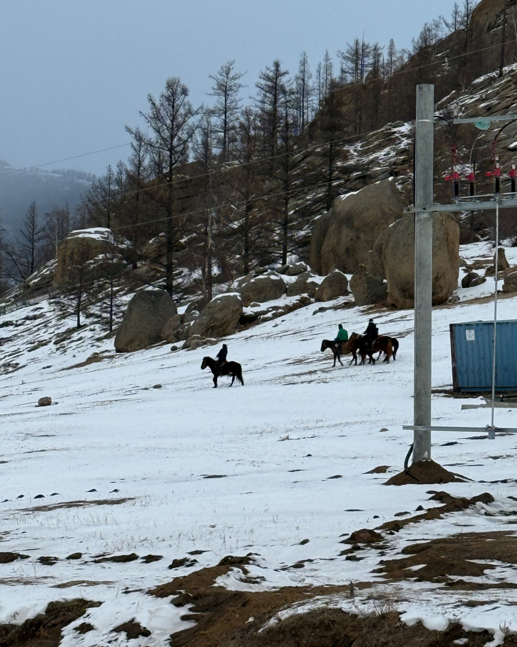 몽골 중부투어 (2025.11.14~)