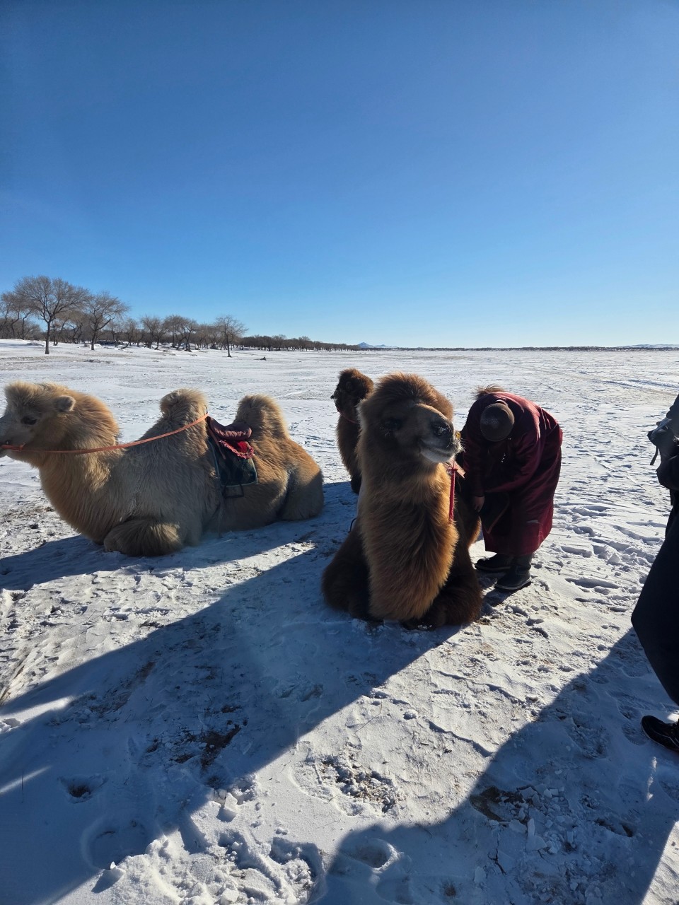 몽골 중부투어 (2025.11.29~)