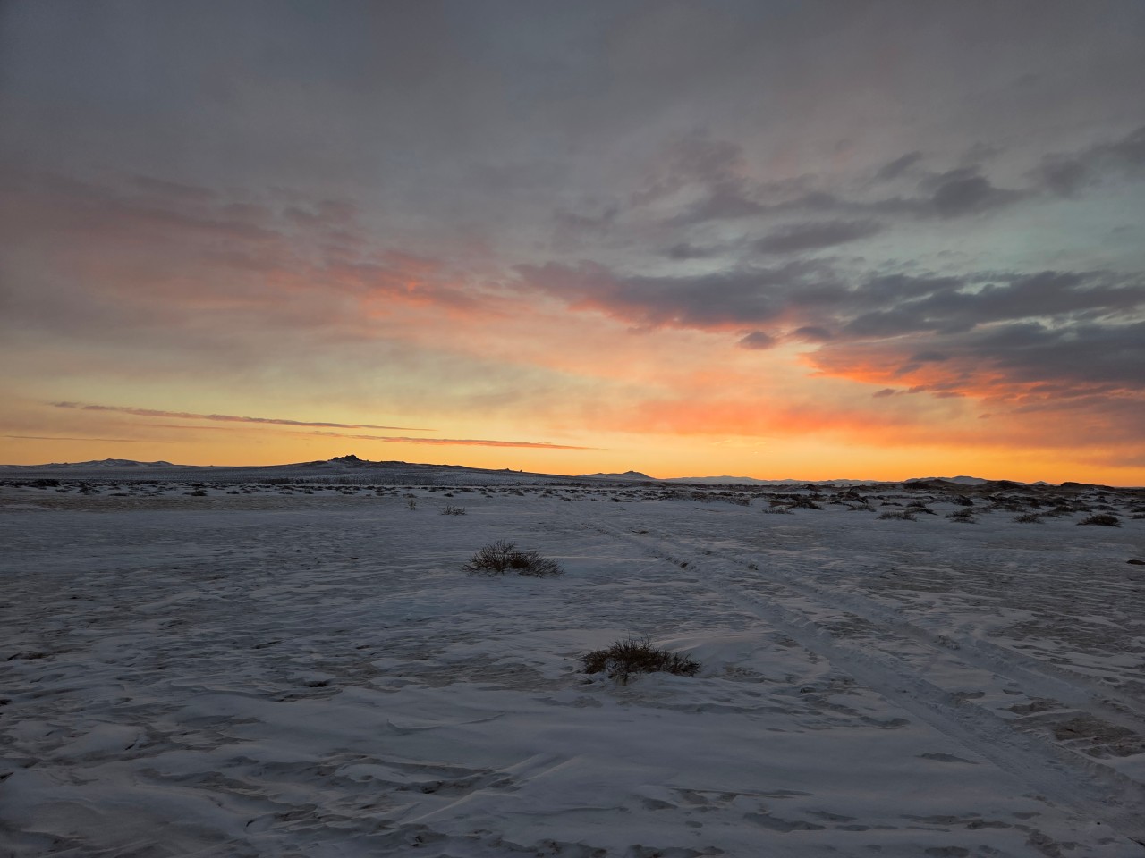 몽골 중부투어 (2025.12.05~)