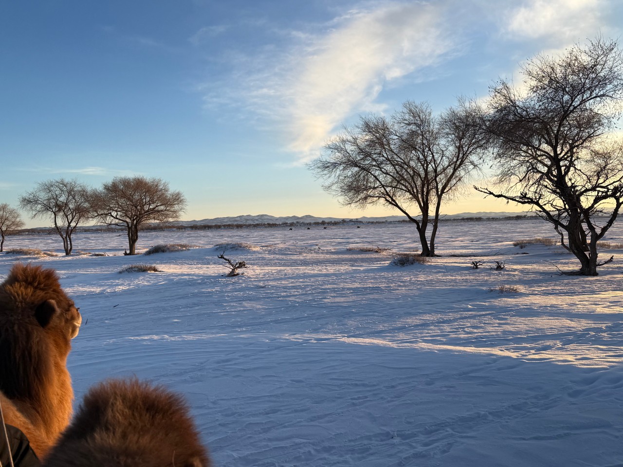 몽골 중부투어 (2025.12.05~)