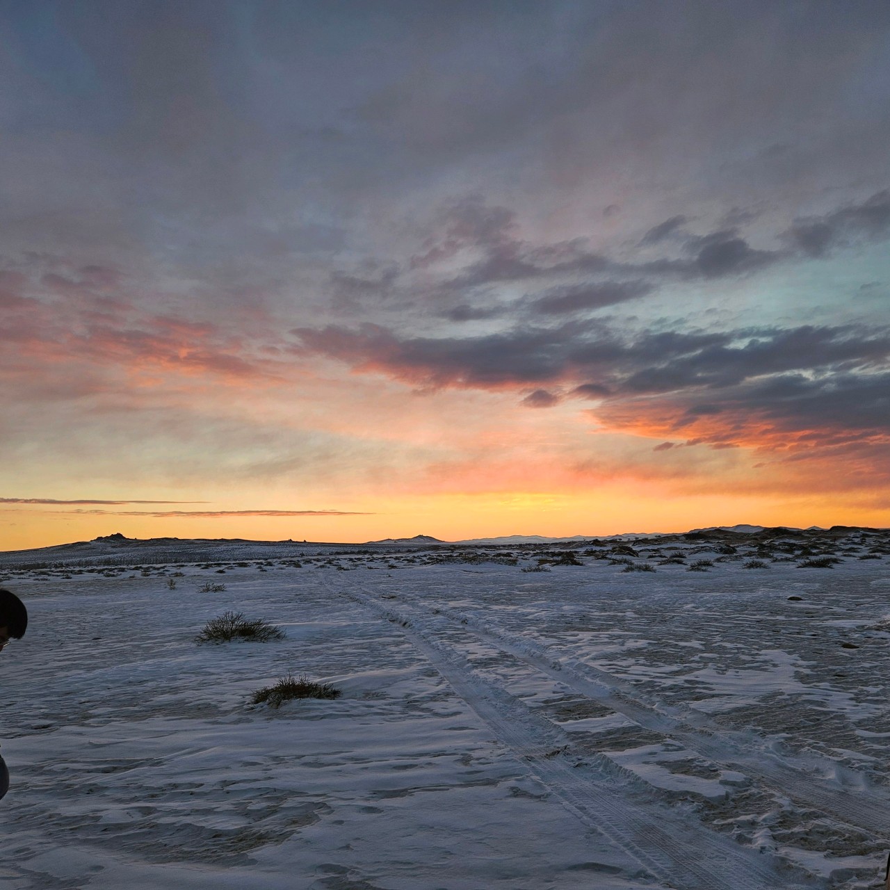 몽골 중부투어 (2025.12.05~)