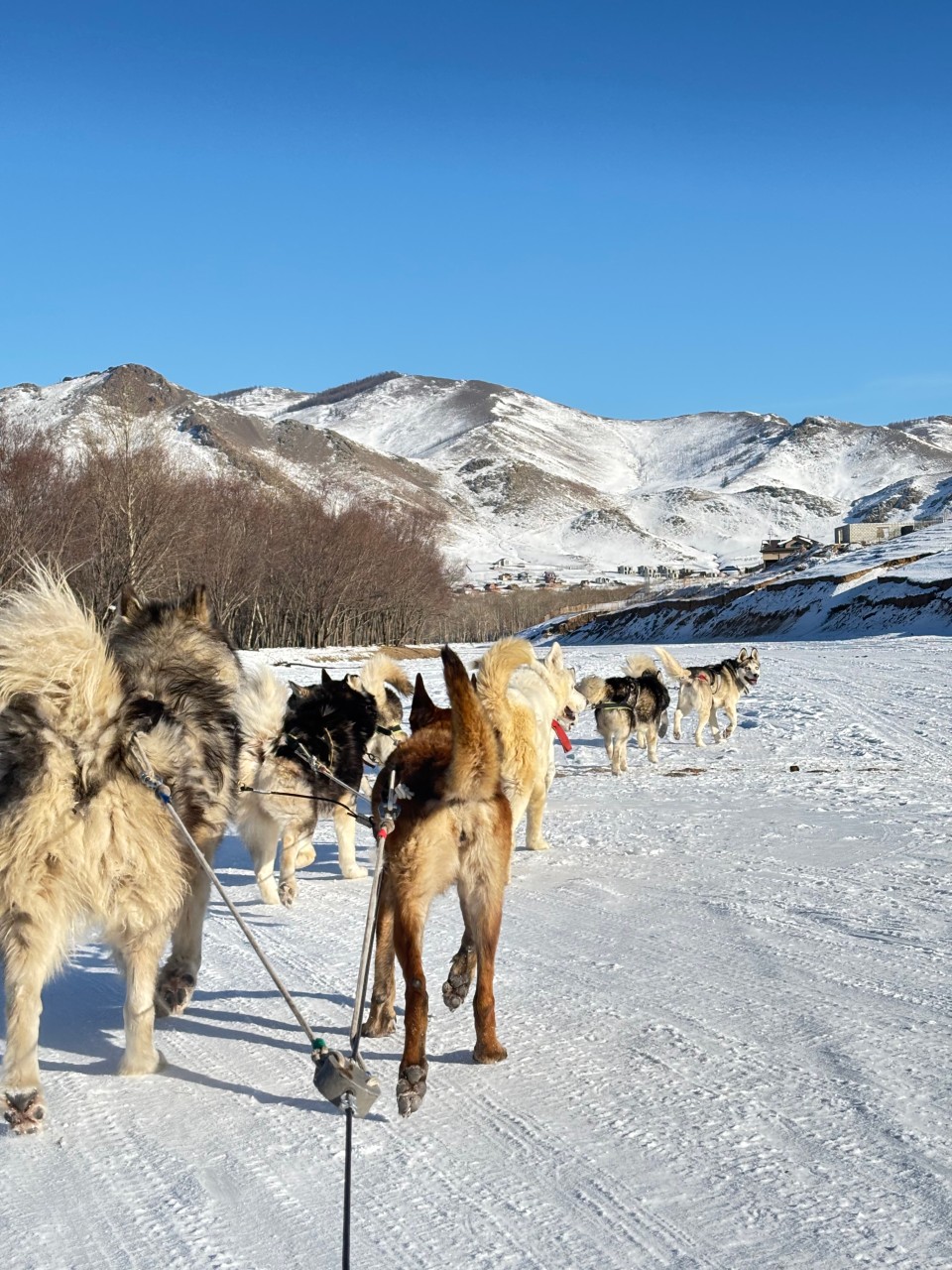 몽골 크리스마스 중부 투어 (2025.12.25~)