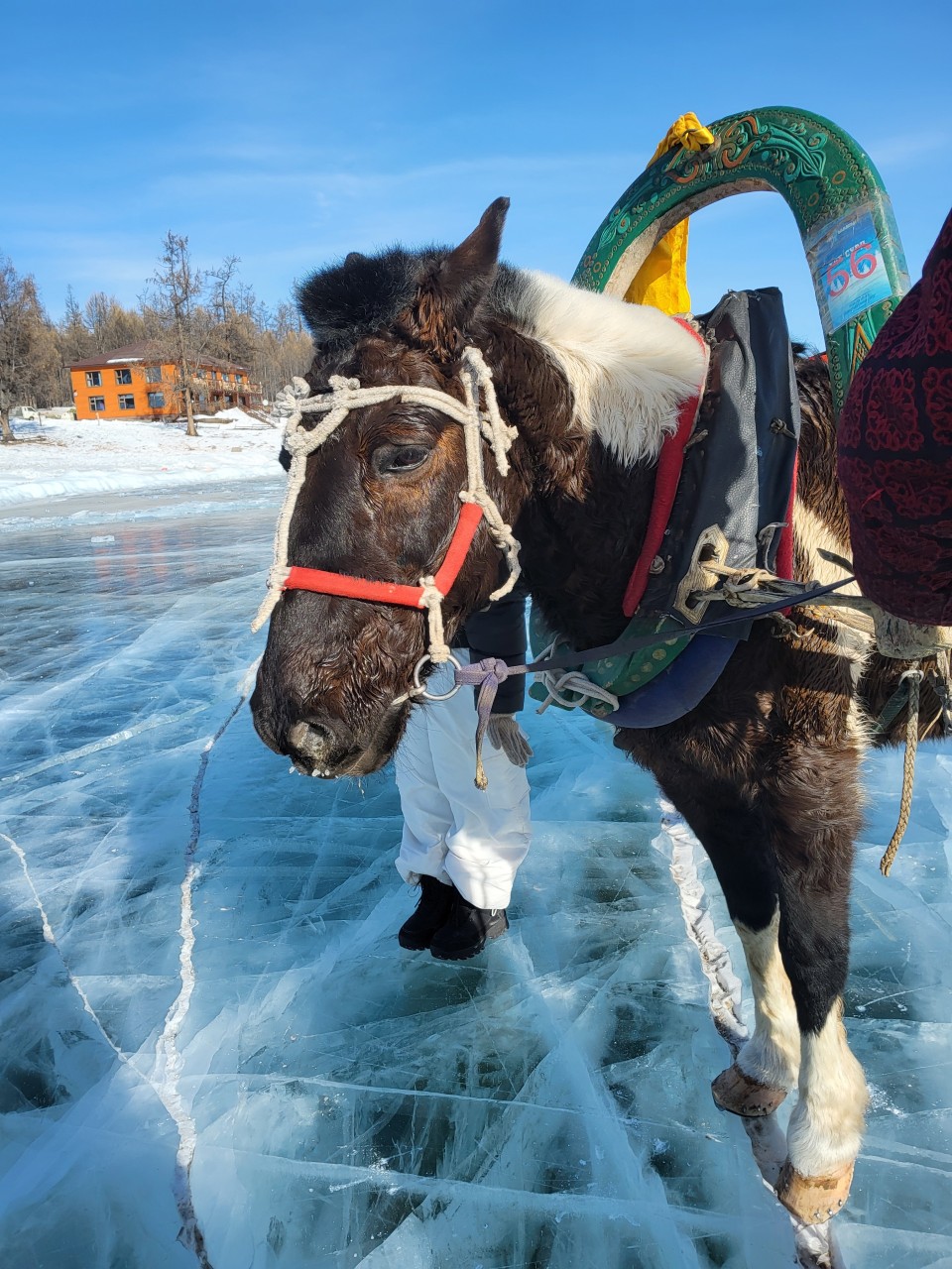 몽골 홉스골 투어 (2026.02.13~)