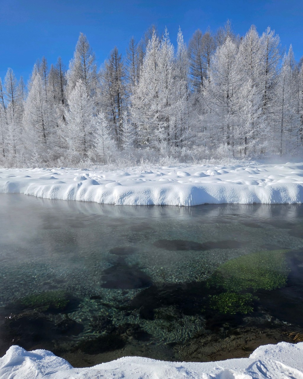 몽골 홉스골 투어 (2026.02.13~)