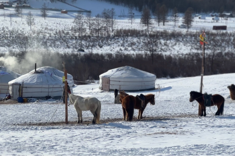 몽골 중부투어 (2026.02.22~)