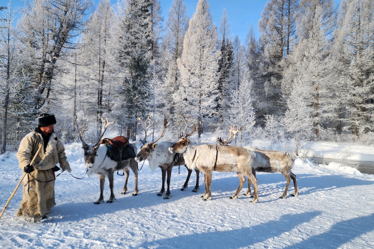 몽골 홉스골 투어 (2026.02.27~)