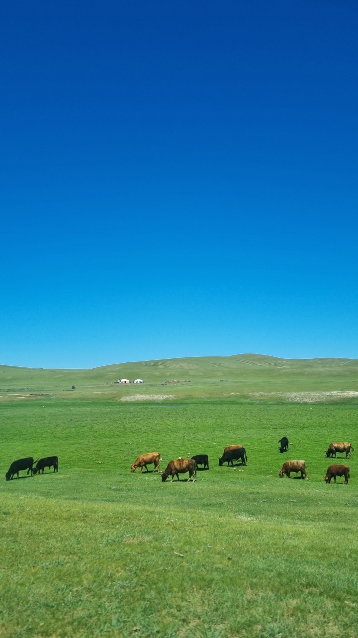몽골 중부 맞춤 가족여행 (2025.07.11~)