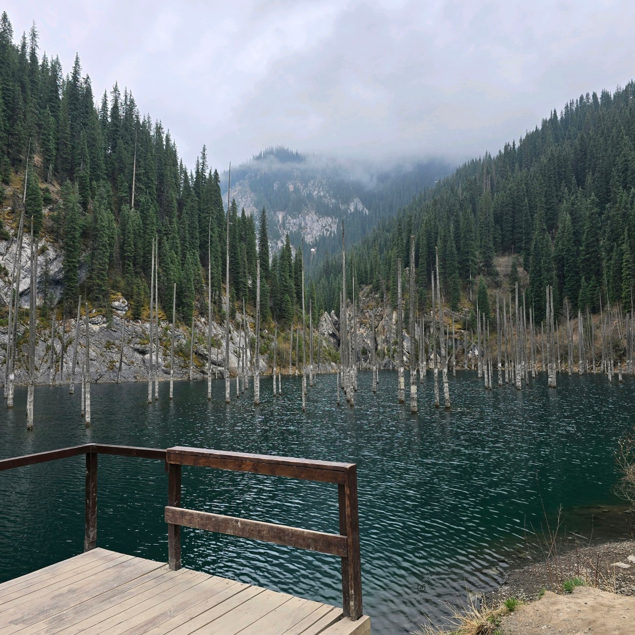 카자흐스탄 투어 (2026.04.07~)