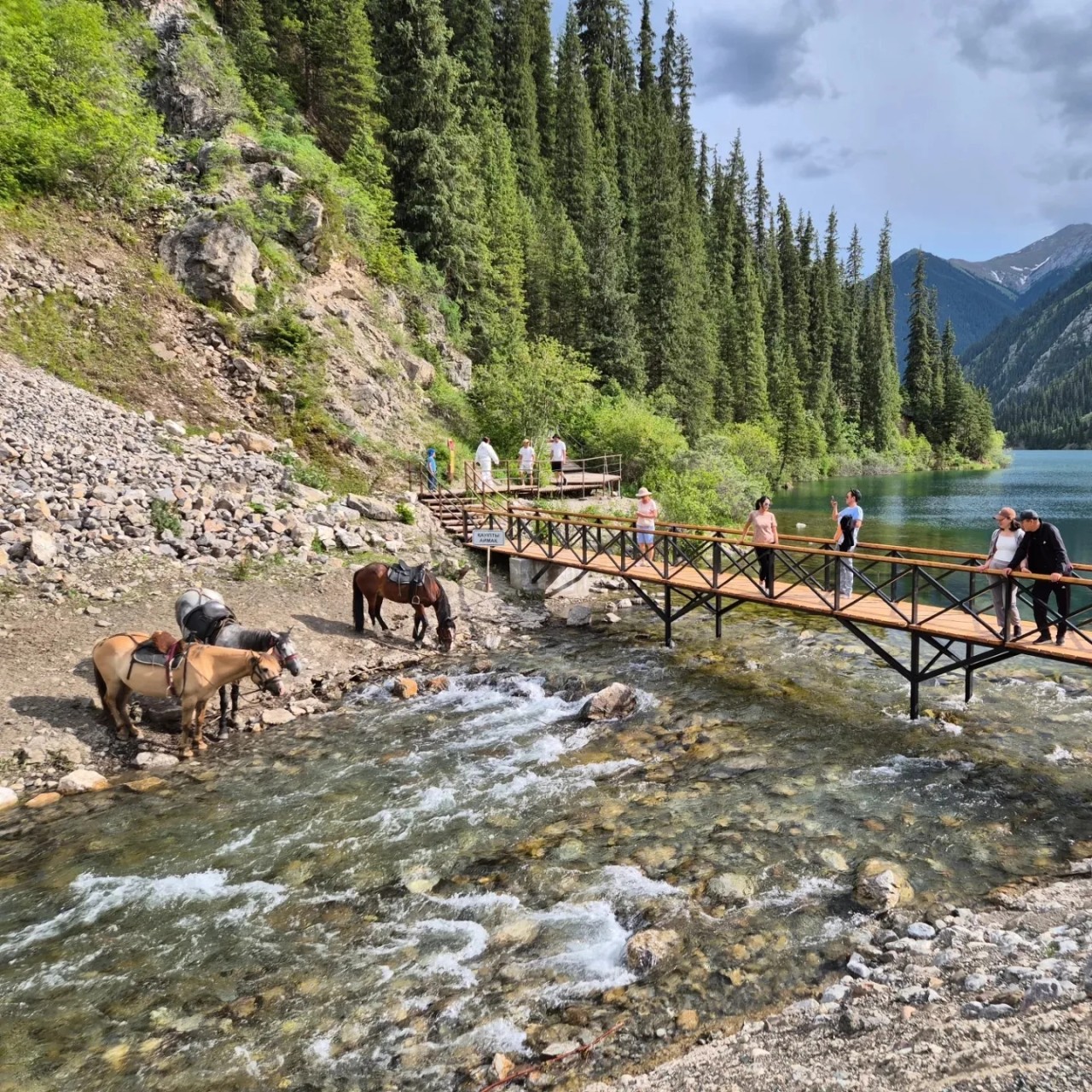 카자흐스탄 투어 (2026.04.09~)