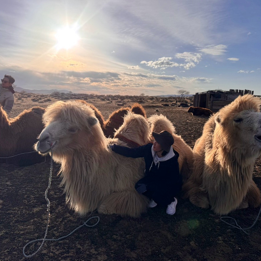 몽골 중부투어 (2026.04.16~)