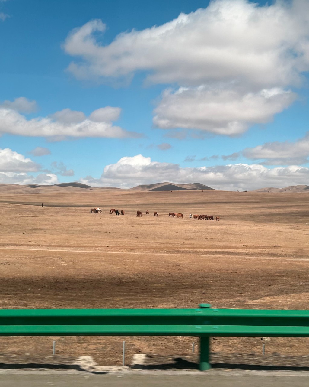 몽골 중부투어 (2026.04.16~)