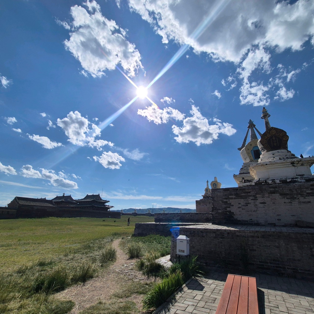 몽골 중부 효도여행 (2025.07.19~)
