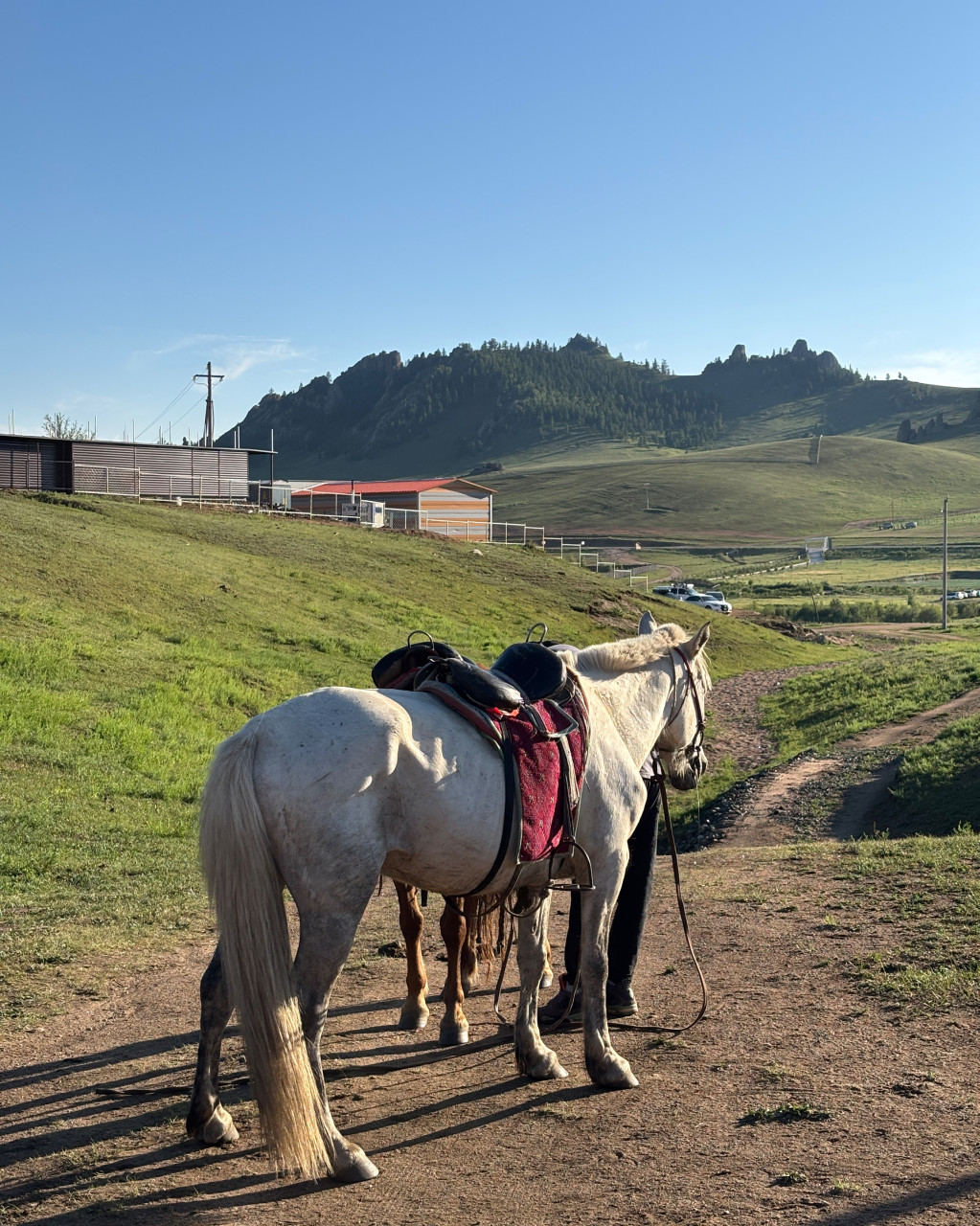 몽골 중부 맞춤 가족여행 (2025.07.24~)