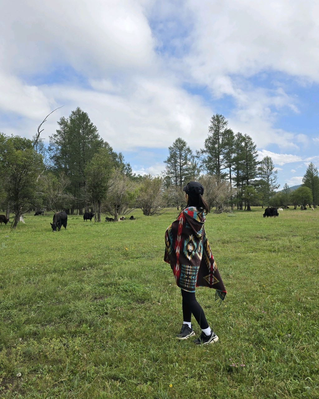 몽골 중부 우정여행 (2025.07.24~)