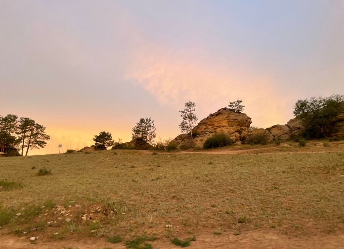 몽골 세렝게투어 (2025.08.03~)