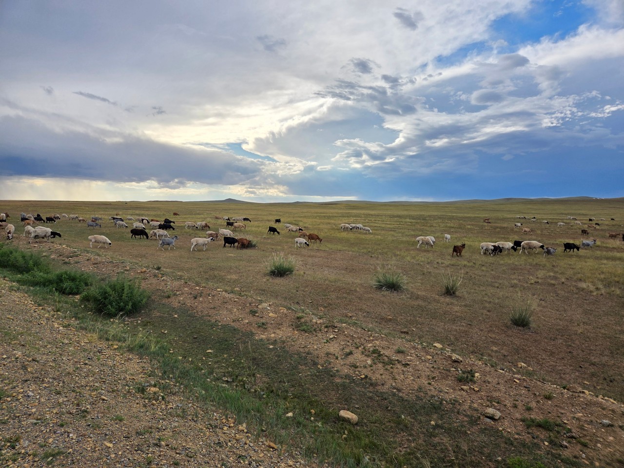 몽골 중부 3대 가족여행 (2025.08.10~)