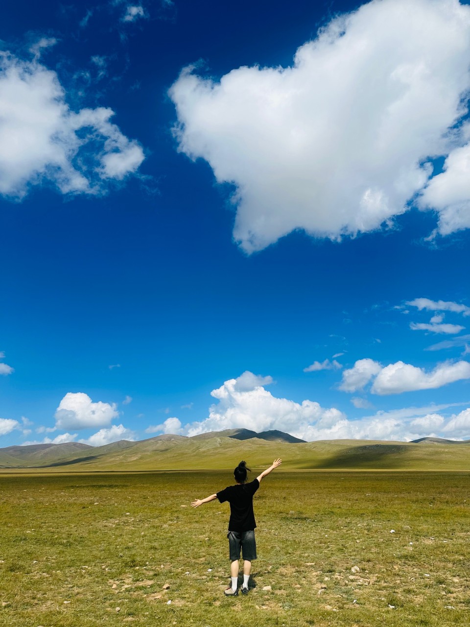 몽골 홉스골 투어 (2025.08.19~)