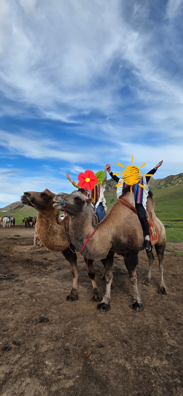 몽골 프라이빗 중부투어 (2025.08.19~)