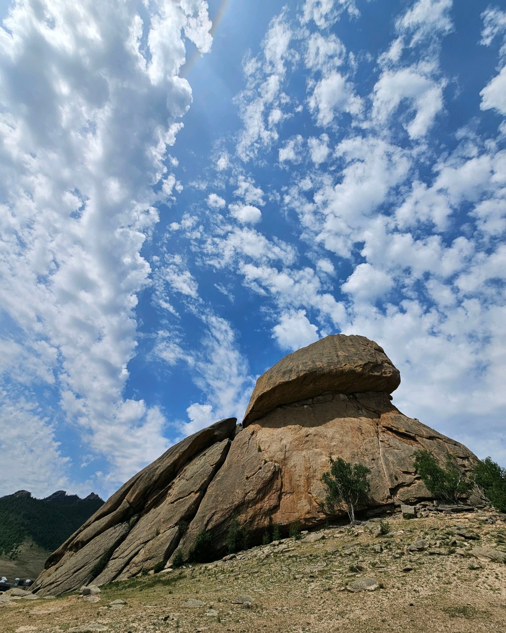 몽골 중부투어 (2025.06.21~)
