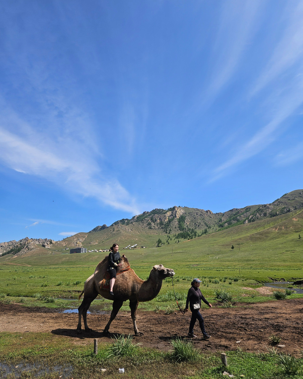 몽골 중부투어 (2025.08.21~)