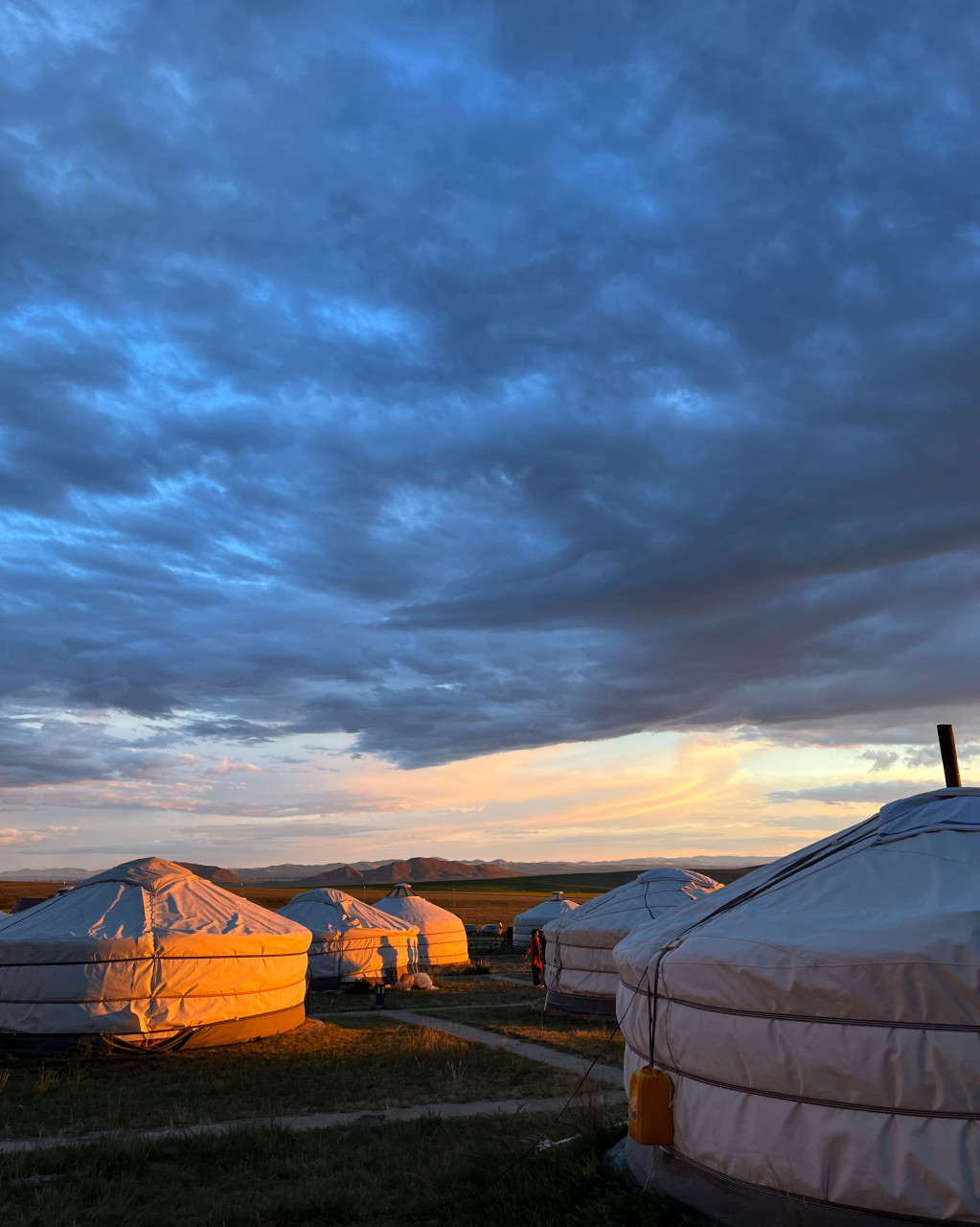 몽골 중부투어 (2025.08.23~)