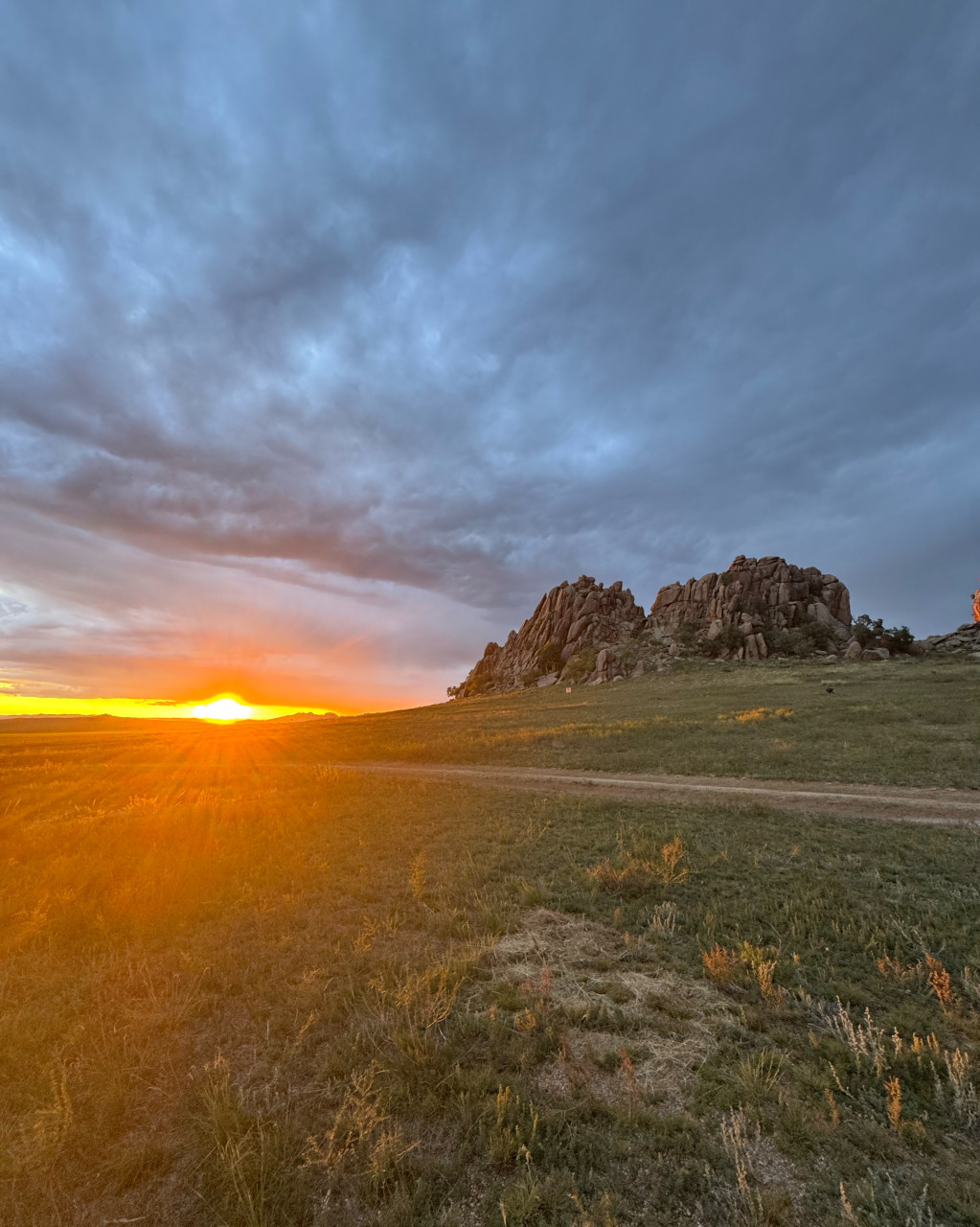 몽골 중부투어 (2025.08.23~)