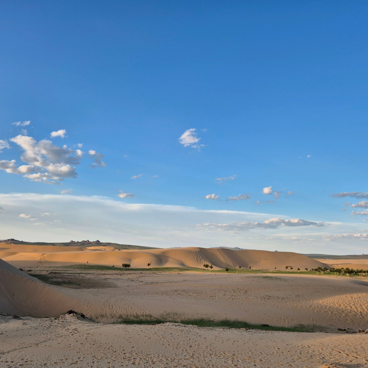 몽골 중부투어 (2025.06.21~)