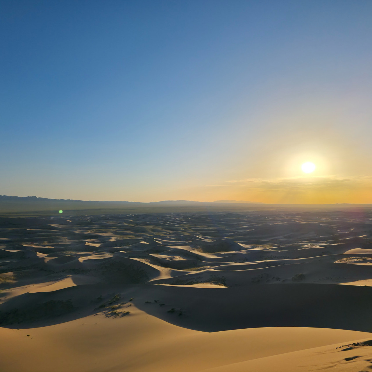 몽골 남고비 우정여행 (2025.09.01~)