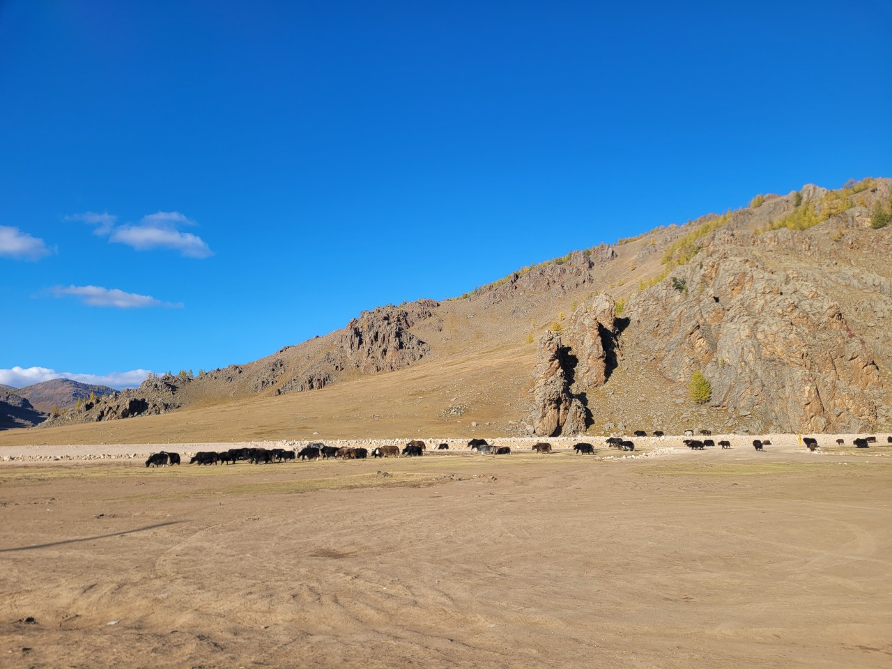 몽골 중부투어 (2025.09.13~)