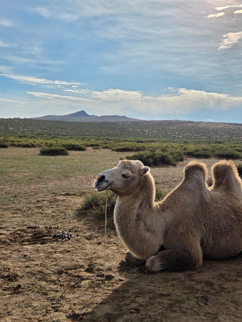 몽골 홉스골 투어 (2025.09.13~)