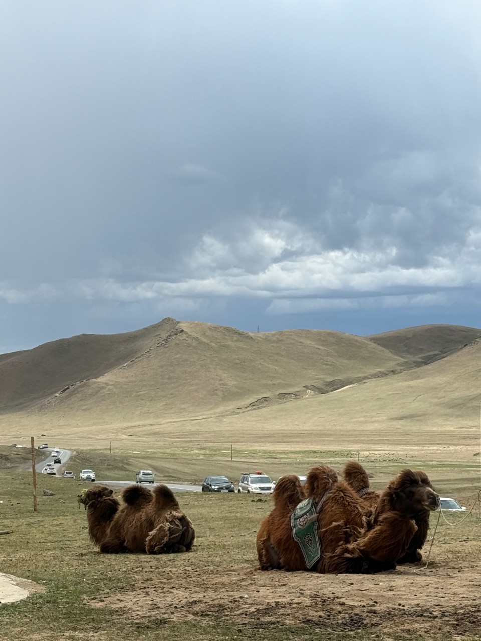 몽골 홉스골 투어 (2025.09.15~)