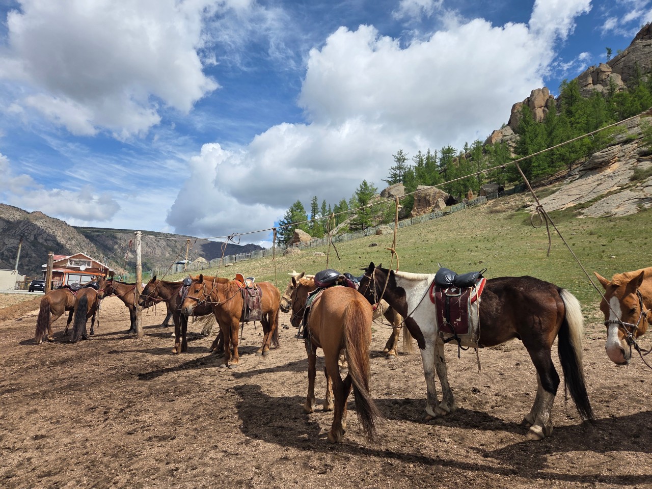 몽골 중부 가족여행 (2025.06.21~)