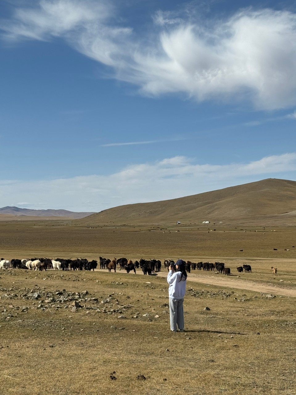 몽골 중부투어 (2025.09.17~)