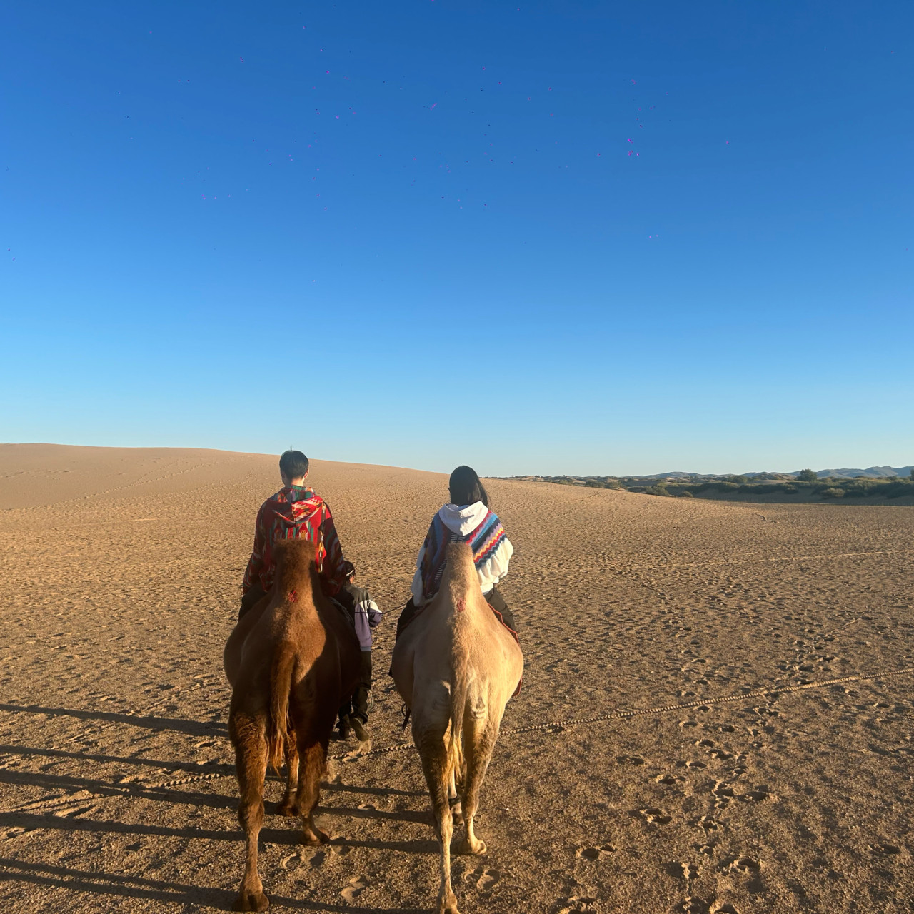 몽골 프라이빗 중부투어 (2025.09.17~)