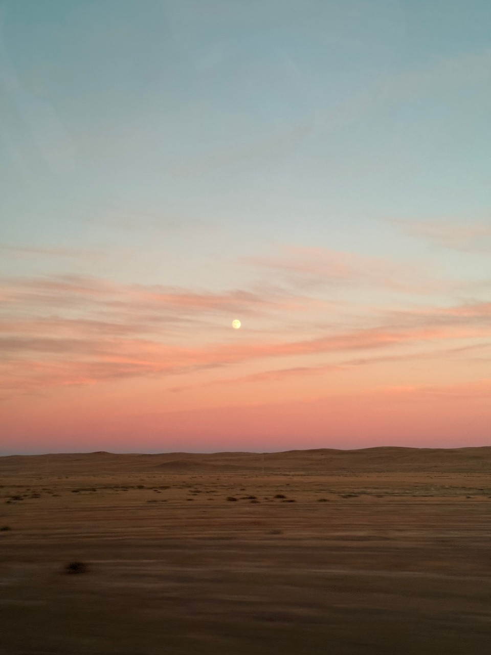 몽골 중부투어 (2025.10.02~)